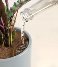 Load image into Gallery viewer, Misty Blue stand:all