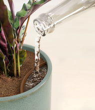 Load image into Gallery viewer, Reactive Aqua stand:all