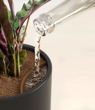 Load image into Gallery viewer, Stone Black stand:all