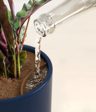 Load image into Gallery viewer, Twilight Blue stand:all