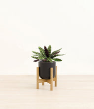 Load image into Gallery viewer, Stone Black stand:bamboo