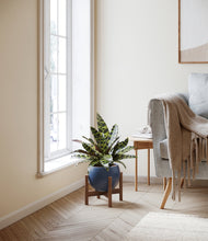 Load image into Gallery viewer, Deep Navy stand:walnut