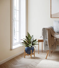 Load image into Gallery viewer, Deep Navy stand:bamboo