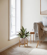 Load image into Gallery viewer, Desert Brown stand:bamboo