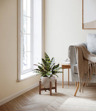 Load image into Gallery viewer, Winter Clouds stand:walnut