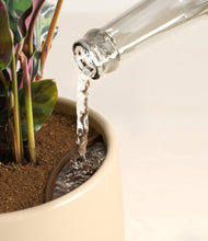 Load image into Gallery viewer, Almond Green stand:all