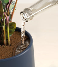 Load image into Gallery viewer, Deep Navy stand:all