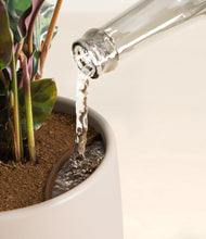 Load image into Gallery viewer, Eternal Gray stand:all