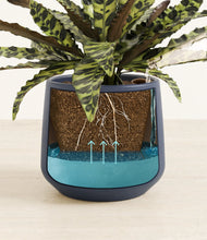 Load image into Gallery viewer, Deep Navy