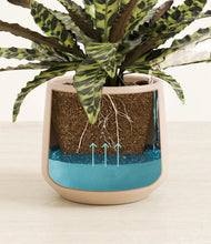 Load image into Gallery viewer, Gentle Pink