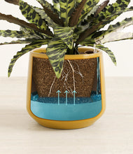 Load image into Gallery viewer, Mustard