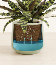 Load image into Gallery viewer, Turquoise