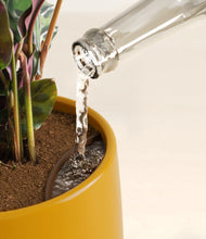 Load image into Gallery viewer, Mustard stand:all