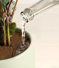 Load image into Gallery viewer, Turquoise stand:all