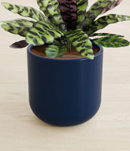 Load image into Gallery viewer, Twilight Blue stand:all