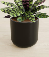 Load image into Gallery viewer, Stone Black stand:all