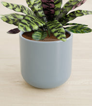 Load image into Gallery viewer, Misty Blue stand:all