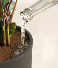 Load image into Gallery viewer, Dark Olive stand:all