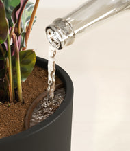 Load image into Gallery viewer, Black stand:all