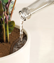 Load image into Gallery viewer, Cream stand:all