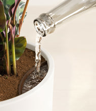 Load image into Gallery viewer, White stand:all