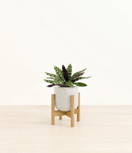 Load image into Gallery viewer, Hammered Ivory stand:bamboo