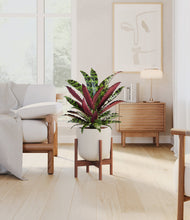 Load image into Gallery viewer, Natural Bamboo stand:walnut