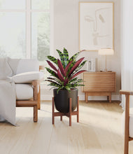 Load image into Gallery viewer, Stone Black stand:walnut