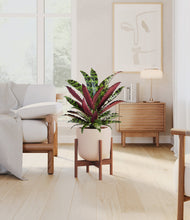 Load image into Gallery viewer, Sandy Pink stand:walnut