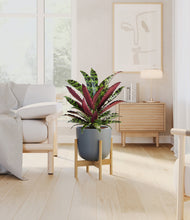 Load image into Gallery viewer, Iron Gray stand:bamboo