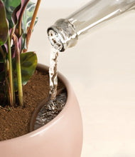 Load image into Gallery viewer, Calm Rose stand:all