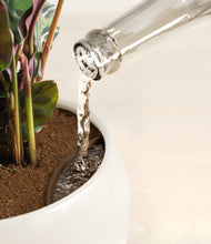 Load image into Gallery viewer, Shiny EggWhite stand:all