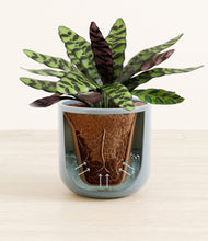 Load image into Gallery viewer, Misty Blue stand:all