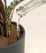 Load image into Gallery viewer, Pebble Shore stand:all