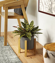 Load image into Gallery viewer, Dark Olive stand:light