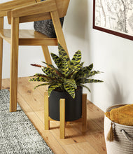 Load image into Gallery viewer, Black stand:light