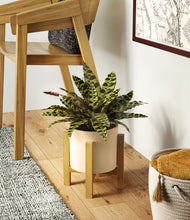 Load image into Gallery viewer, Cream stand:light