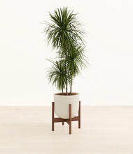 Load image into Gallery viewer, Natural Bamboo stand:walnut