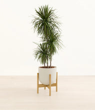 Load image into Gallery viewer, Natural Bamboo stand:bamboo