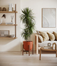 Load image into Gallery viewer, Earth Red stand:walnut