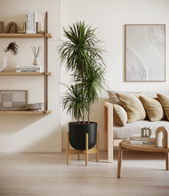 Load image into Gallery viewer, Stone Black stand:bamboo