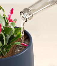 Load image into Gallery viewer, -