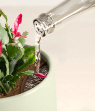 Load image into Gallery viewer, -