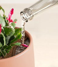 Load image into Gallery viewer, -