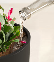 Load image into Gallery viewer, -