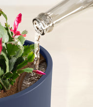 Load image into Gallery viewer, -