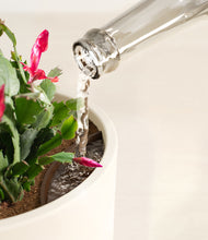 Load image into Gallery viewer, -