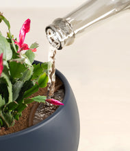 Load image into Gallery viewer, -