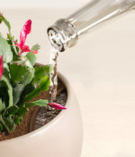 Load image into Gallery viewer, -