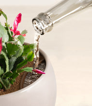 Load image into Gallery viewer, -